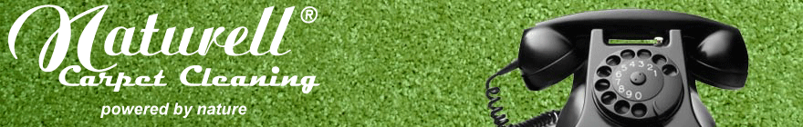 naturell logo