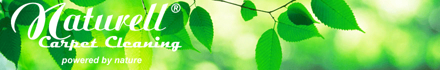 naturell logo